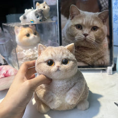 Custom Handmade Chubby Cat Squishy Toy – Unique & Adorable! (Big Size) - Squishy DIY