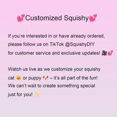 Custom Handmade Chubby Dog Squishy Puppy Toy – Unique & Adorable! - Squishy DIY